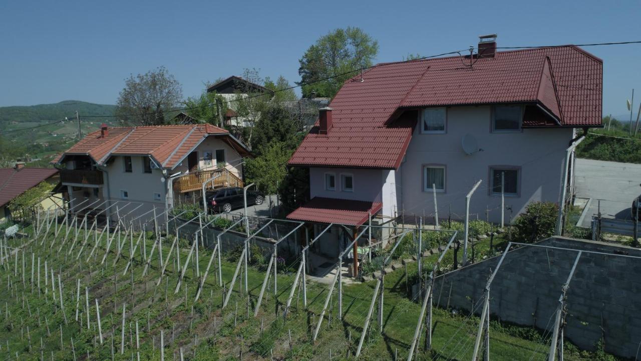 Apartment Hisa Sumrak Bizeljsko Exterior foto
