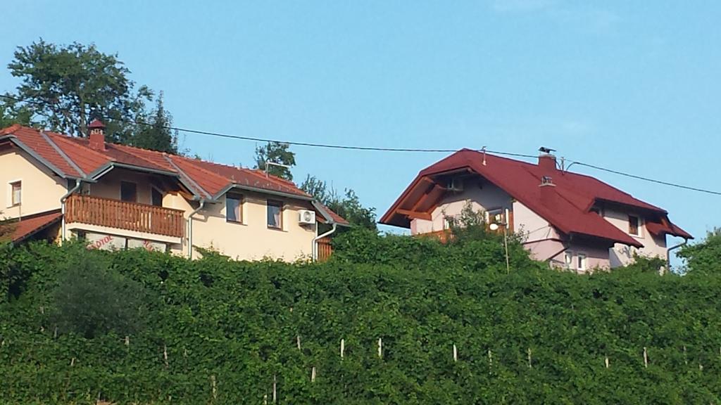 Apartment Hisa Sumrak Bizeljsko Exterior foto